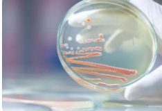 DTU研究人员创造了一种对抗耐药细菌的新工具