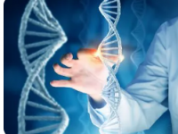 研究表明遗传信息在衡量遗传病风险方面的附加价值