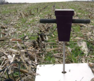 土壤传感器为农民提供有益信息