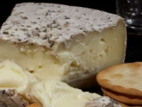 新的发现可以改善奶酪的生产和安全带来新的奶酪
