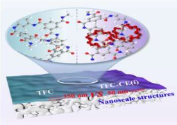 实验证明纳米级结构可以改善反渗透海水淡化