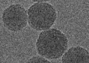 新型纳米粒子提供创新的癌症化学免疫疗法