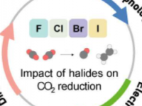 研究人员回顾了卤化物对电化学二氧化碳还原的影响