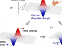 预测新的量子回声晶体中电子的超快光波控制