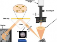 科学家开发出新型高光谱表面等离子体共振显微系统