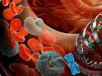 研究探索内皮细胞排列如何在癌症转移中发挥作用