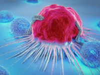 乳腺癌细胞重新训练T细胞侵入特定组织