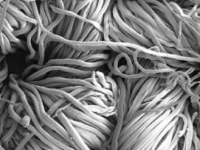 纳米纤维中含有铜离子的新型抗菌棉纺织品