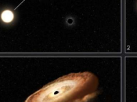 哈勃发现饥饿的黑洞将捕获的恒星扭曲成甜甜圈形状