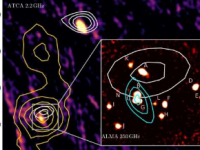 在原星团SPT2349-56中检测到无线电响亮的活动星系核