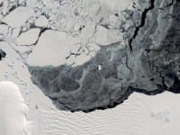 气候驱动的海洋温度变化可以减缓失控的南极西部冰退缩