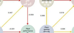 过多的植物分子提供了大量的植物群数据