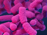 研究人员开发了针对临床肠杆菌属抗生素耐药性的靶向测试