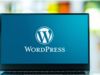 随着WordPress20周年Kinsta和LiquidWeb被评为最可靠的主机