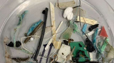 北极的塑料碎片来自世界各地