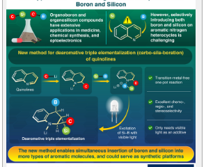 有机硼和有机硅化学三元素化的新视野