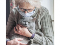 宠物为老年护理人员带来积极变化