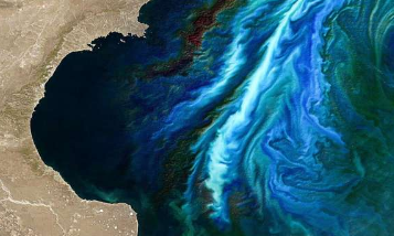 卫星图像显示沿海藻类大量繁殖在过去二十年中变得更大
