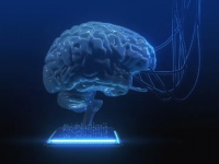 脑细胞计算机可能比硅芯片更节能