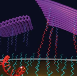 DNA折纸提高电化学生物传感器性能