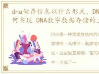 dna储存信息以什么形式，DNA存储技术如何实现 DNA数字数据存储的主要步骤
