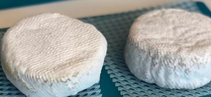 丹麦初创公司利用乳制品行业的专业知识制作逼真的纯素奶酪