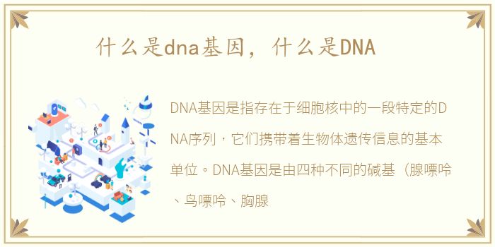 什么是dna基因，什么是DNA