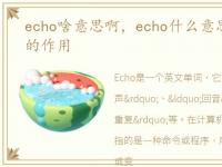 echo啥意思啊，echo什么意思_ echo off的作用