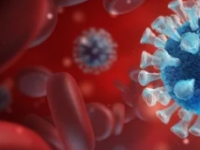 SARSCoV2Omicron亚变体如何进化以逃避宿主T细胞免疫