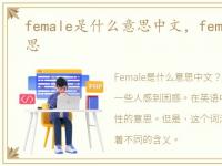 female是什么意思中文，female是什么意思
