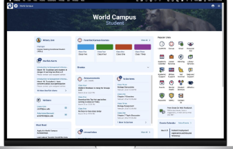 为世界校园学生推出宾夕法尼亚州立大学Go Web版本