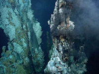 科学家在大西洋中脊发现三个新的热液喷口区