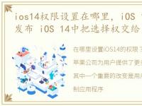 ios14权限设置在哪里，iOS 14正式版今天发布 iOS 14中把选择权交给用户