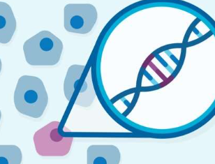 新方法将DNA测序的准确性提高了1000倍以检测罕见的基因突变