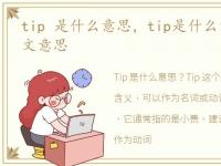tip 是什么意思，tip是什么意思?tip的中文意思