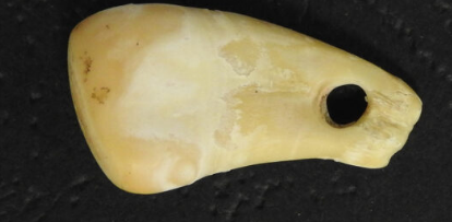 从两万年前的鹿牙吊坠中提取出古人类DNA