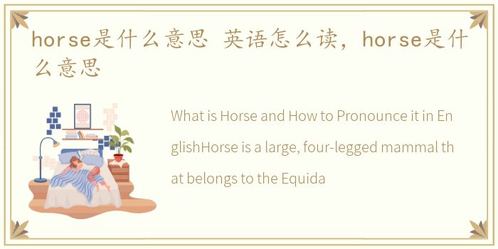 horse是什么意思 英语怎么读，horse是什么意思