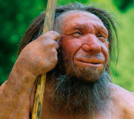 研究表明现代人类从尼安德特人那里继承了鼻子形状基因