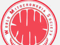 Targeting Mitochondria 2023将于10月在柏林重点介绍当前和未来的线粒体研究