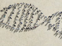 新的人类泛基因组可以帮助揭示每个人的生物学