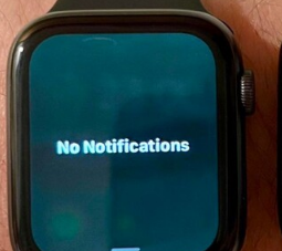 AppleWatch用户报告watchOS9.5更新后出现绿色显示色调问题
