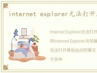 internet explorer无法打开站点怎么办