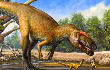 视觉透视起源于恐龙世系可能早于哺乳动物