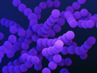 基因编辑工具可以帮助减少抗菌素耐药性的传播