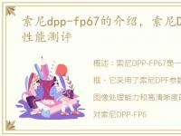 索尼dpp-fp67的介绍，索尼DPF参数配置、性能测评