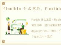 flexible 什么意思，flexible是什么意思