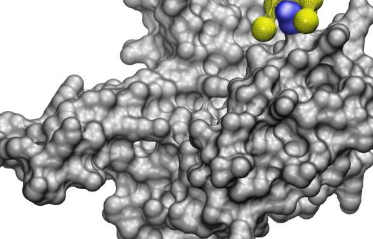 Nanobiotics用于发现纳米粒子在何处以及如何与蛋白质结合的AI