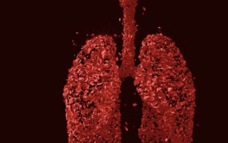 细菌在肺部的定植也取决于宿主基因组