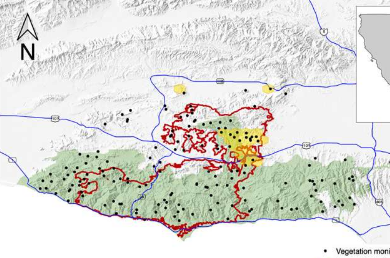 圣莫尼卡山脉非本地覆盖率的上升威胁着本地生物多样性并增加了火灾风险