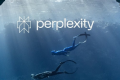 如何使用PerplexityAI作为研究助理和事实检查员